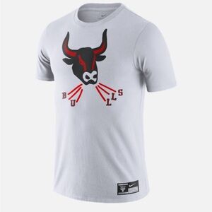 NWT Chicago Bulls Nike X Flip Pagowski Illustration Cotton TShirt 2XL